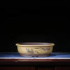 13.9 inch (35.5cm) Large Oval Bonsai Pots w Landscape Engravings Yellow Color