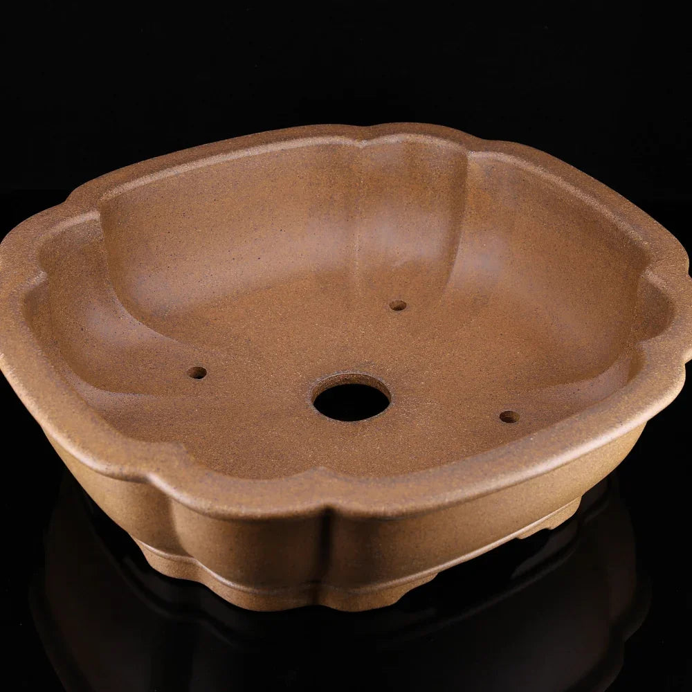 13.9 inch (35.5cm) Large Rectangle Bonsai Pot w Softly Scalloped Edges Corner View