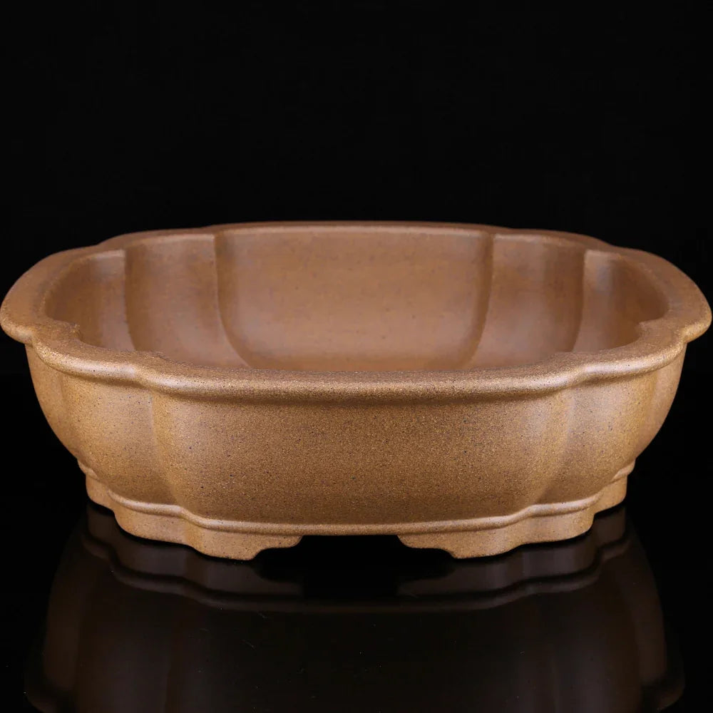 13.9 inch (35.5cm) Large Rectangle Bonsai Pot w Softly Scalloped Edges Top View