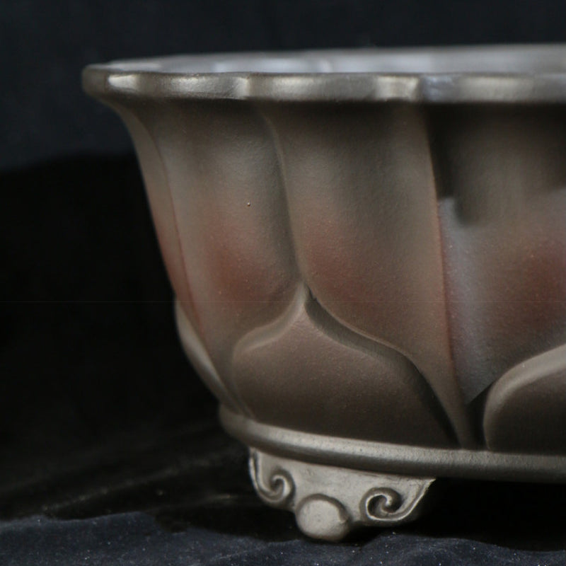 13 inch (33cm) Large Lotus-Style Scalloped Oval Gradient Finish Unglazed Bonsai Pot Close Shot