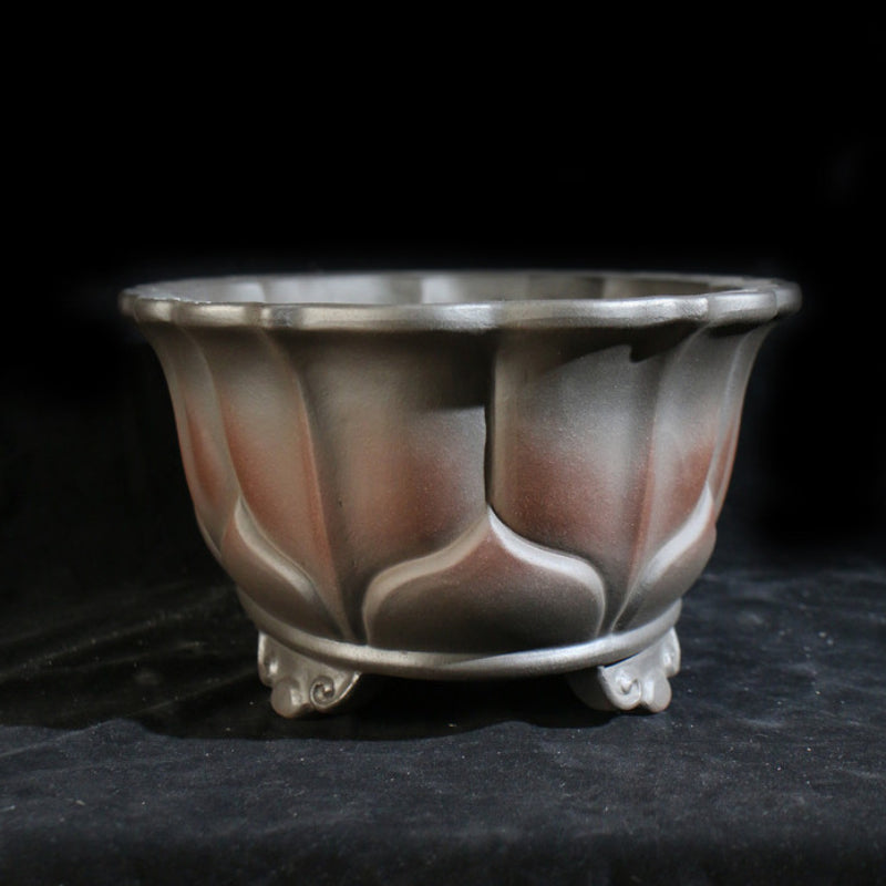 13 inch (33cm) Large Lotus-Style Scalloped Oval Gradient Finish Unglazed Bonsai Pot Side View