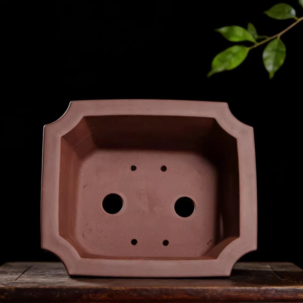 14.1 inch (36cm) Large Corner-Cut Rectangular Traditional Unglazed Deep Bonsai Pot Inner View