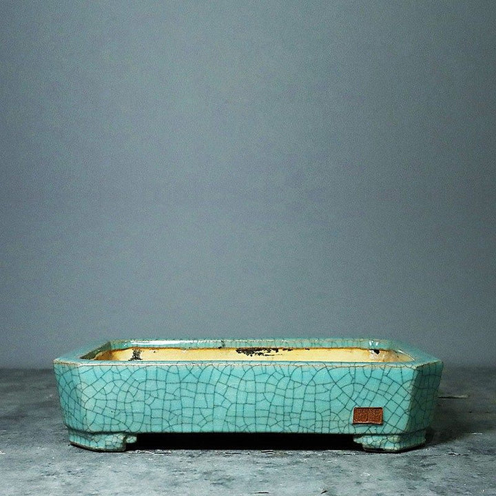 14.1 inch (36cm) Large Rectangle Corner-Cut Cracked Glazed Shallow Bonsai Pots Green Color