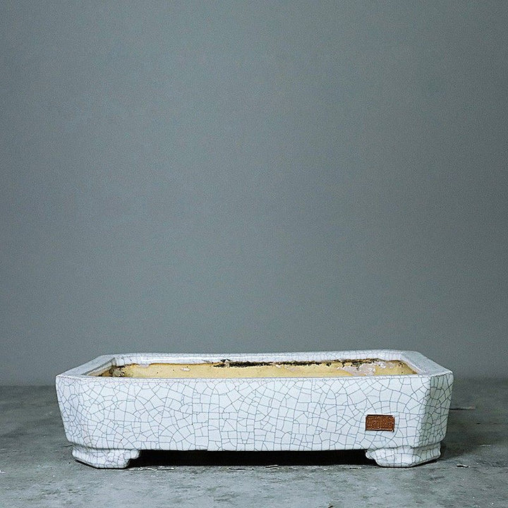 14.1 inch (36cm) Large Rectangle Corner-Cut Cracked Glazed Shallow Bonsai Pots White Color