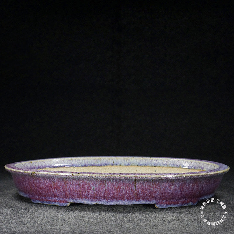14.5 inch (37cm) Large Oval Taisho Kiln Jun Glaze Pink Multi-Tone Shallow Bonsai Pot