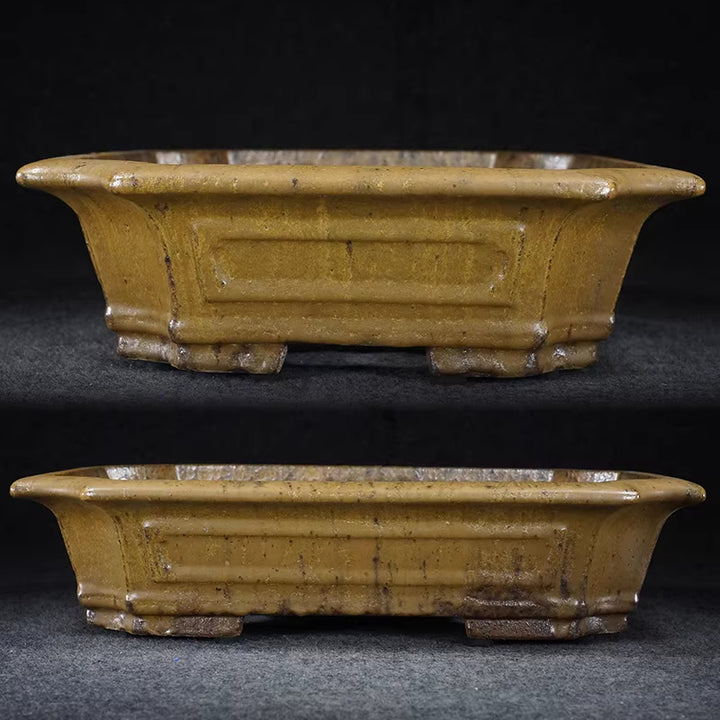 14.5 inch (37cm) Large Rectangular Corner-Cut Exclusive Yello Drip Glaze Bonsai Pot Side View