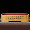 14.5 inch (37cm) Large Rectangular Scalloped Corner Unglazed Bonsai Pots Yellow Color