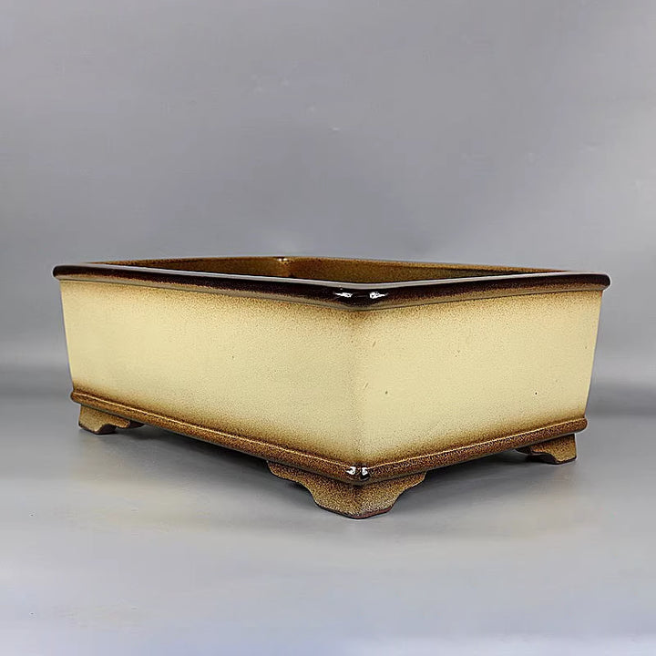 14.9 inch (38cm) Large Rectangular Glazed Yellow Dual Tone Premium Bonsai Pot Corner View