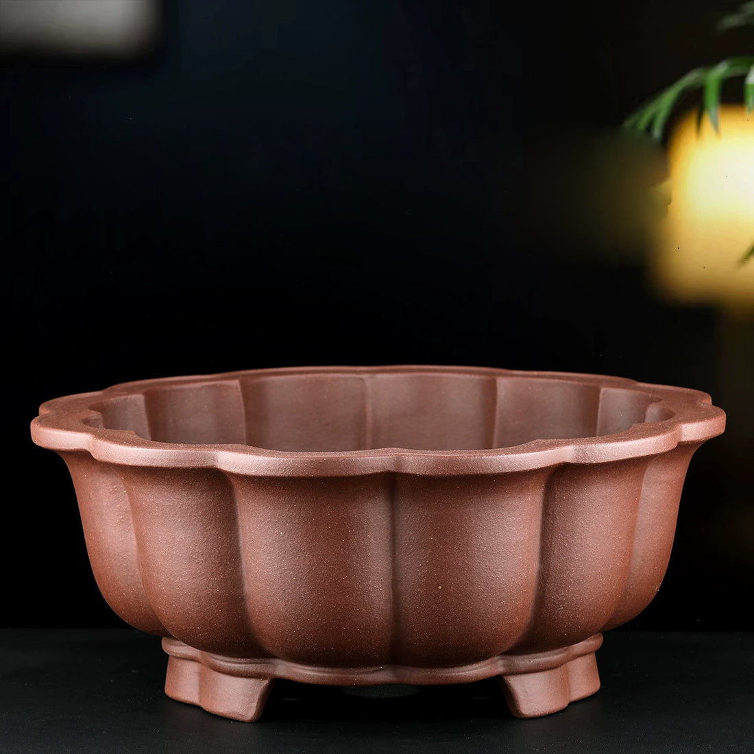 14 inch pot for plants 14.9" (38cm) Large Round Unglazed Bonsai Pot w Lotus Petal-Like Scallo – Mypotscape