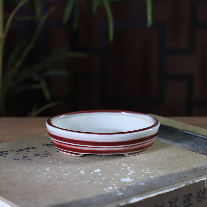 4.2" (10.8cm) Extra Small Oval Shallow Multi-Tone Glazed Mame Bonsai Pots