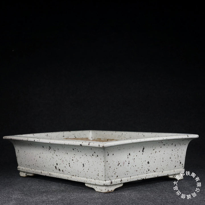 15.7 inch (39.9cm) Large Rectangular Dazhenghe Kiln Glaze White Bonsai Pot with Dark Speckling