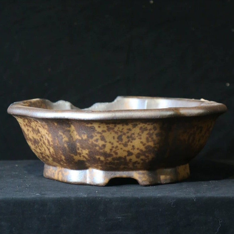 15.7 inch (40cm) Large Lotus-Shaped Broken Edge Style Wood-Fired Unique Bonsai Pot
