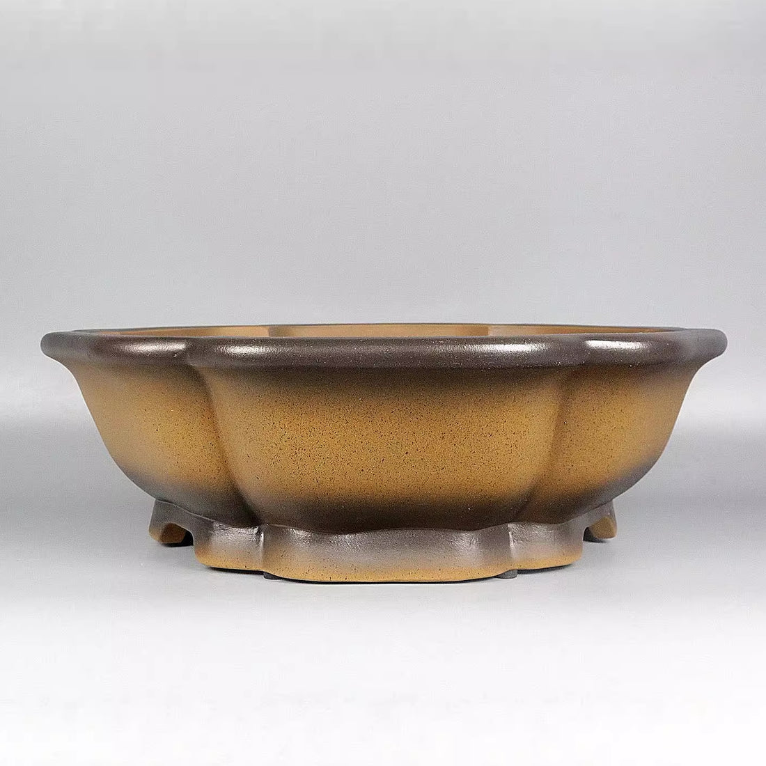 15.9 inch (40.5cm) Large Scalloped Lotus-Shaped Yellow-Brown Glazed Wood-fired Bonsai Pot