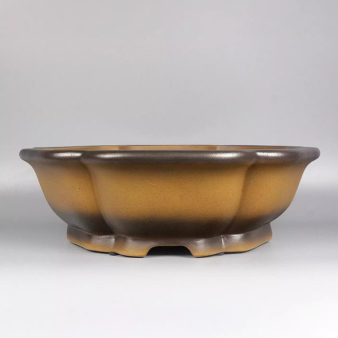15.9 inch (40.5cm) Large Scalloped Lotus-Shaped Yellow-Brown Glazed Wood-fired Bonsai Pot Corner View