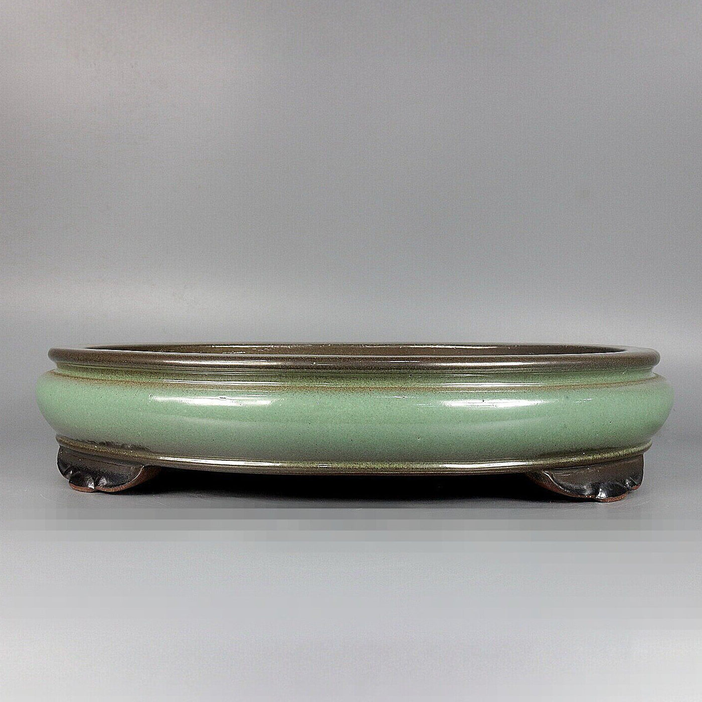 Landscape & Forest Bonsai Pots │ Create Eye-Catching Bonsai