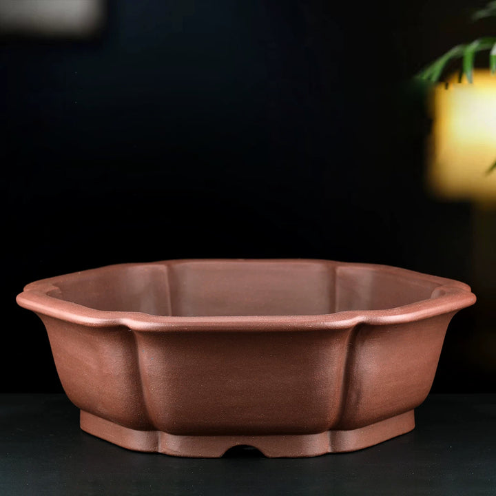 16.3 inch (41.5cm) Large Lotus Petal-Like Hexagonal Unglazed Bonsai Pot