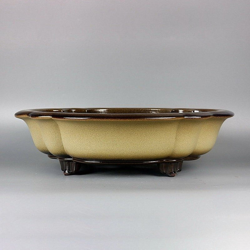 16.3 inch (41.5cm) Large Lotus Shaped Yellow-Brown Dual Tone Glaze Bonsai Pot