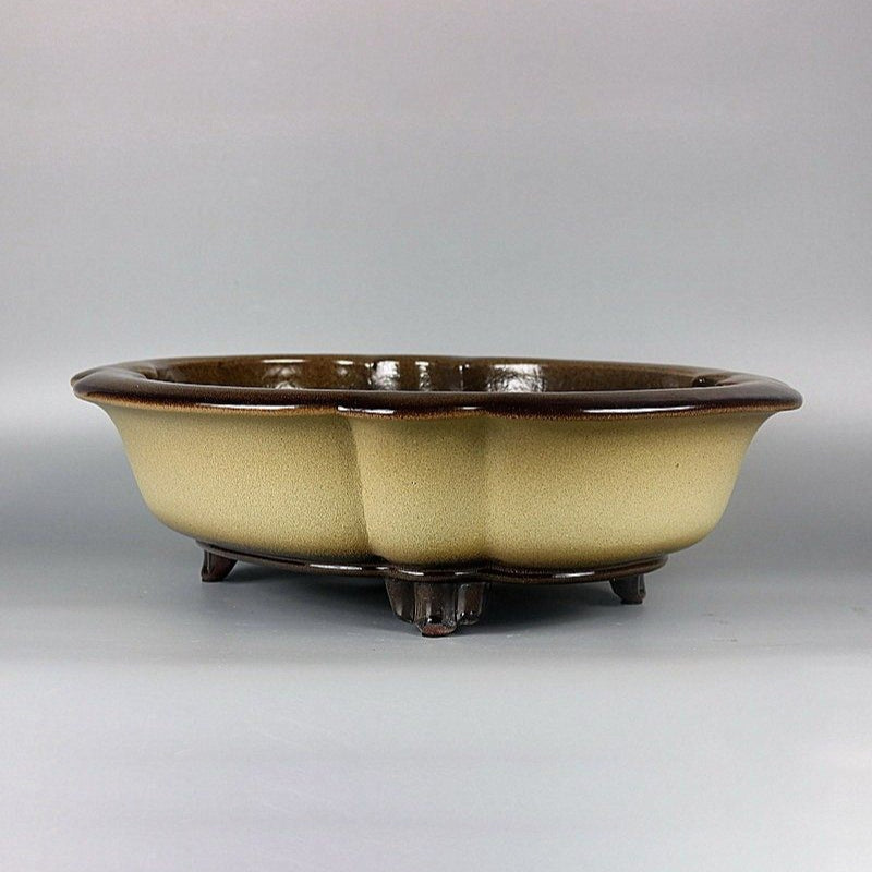 16.3 inch (41.5cm) Large Lotus Shaped Yellow-Brown Dual Tone Glaze Bonsai Pot Corner View