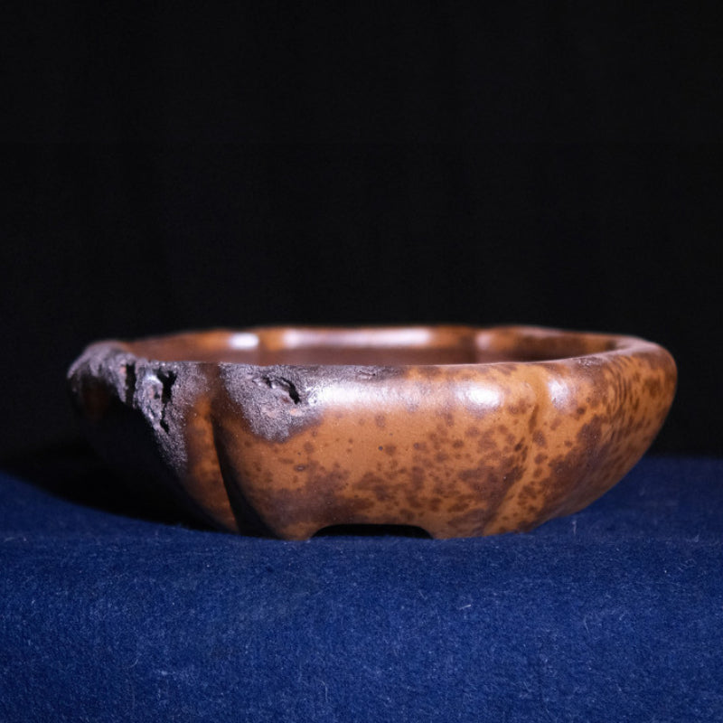 16.9 inch (43cm) Large Lotus-Form Unglazed Bonsai Pot with Eroded Stone-Like Texture