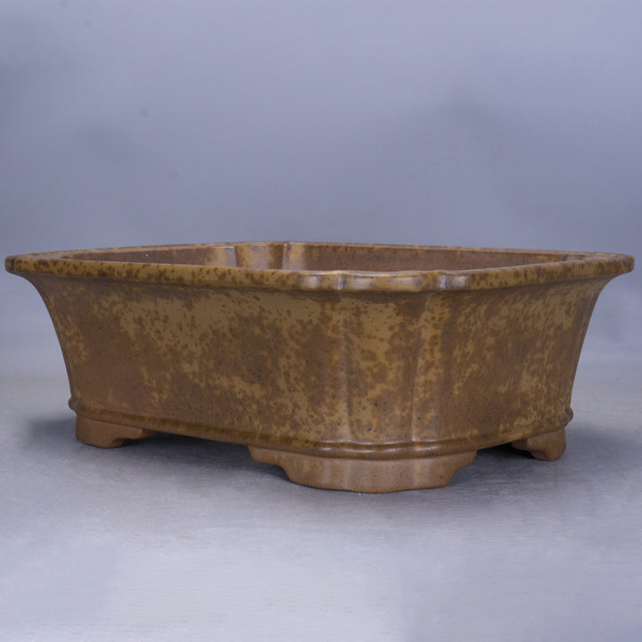 17.3" (44cm) Large Rectangle Speckled Finish Bonsai Pot w Scalloped Corners Corner View