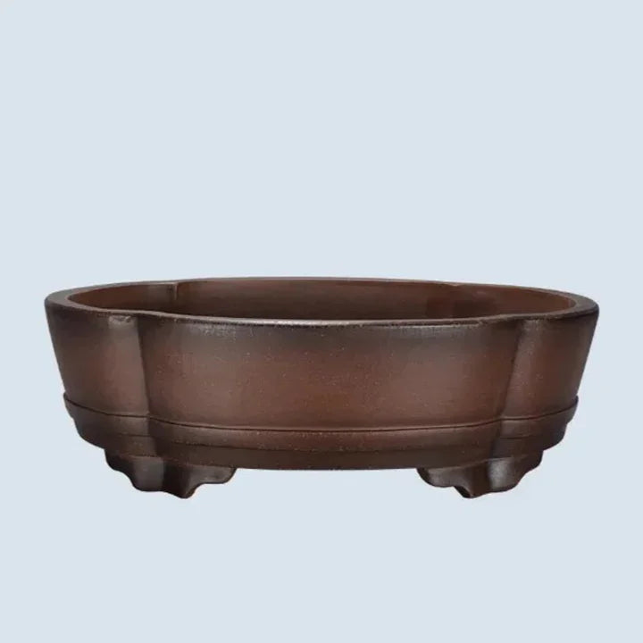 17.3 inch (44cm) Large Scalloped Oval dark Brown Premium Bonsai Pot