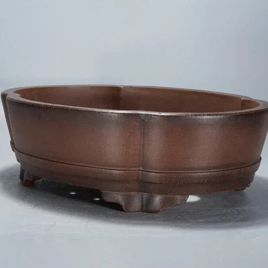 17.3 inch (44cm) Large Scalloped Oval dark Brown Premium Bonsai Pot Corner View