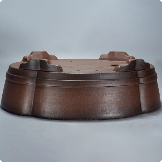 17.3 inch (44cm) Large Scalloped Oval dark Brown Premium Bonsai Pot Side View