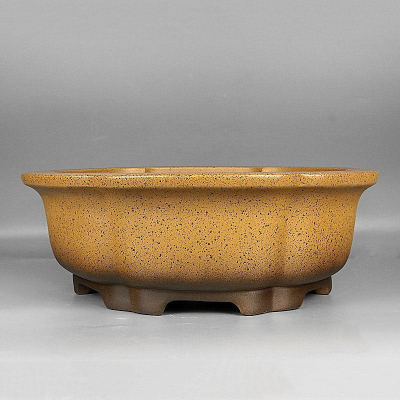 17.7 inch (45cm) Large Hexagonal Yellow-Brown Speckled Finish Deep Bonsai Pot