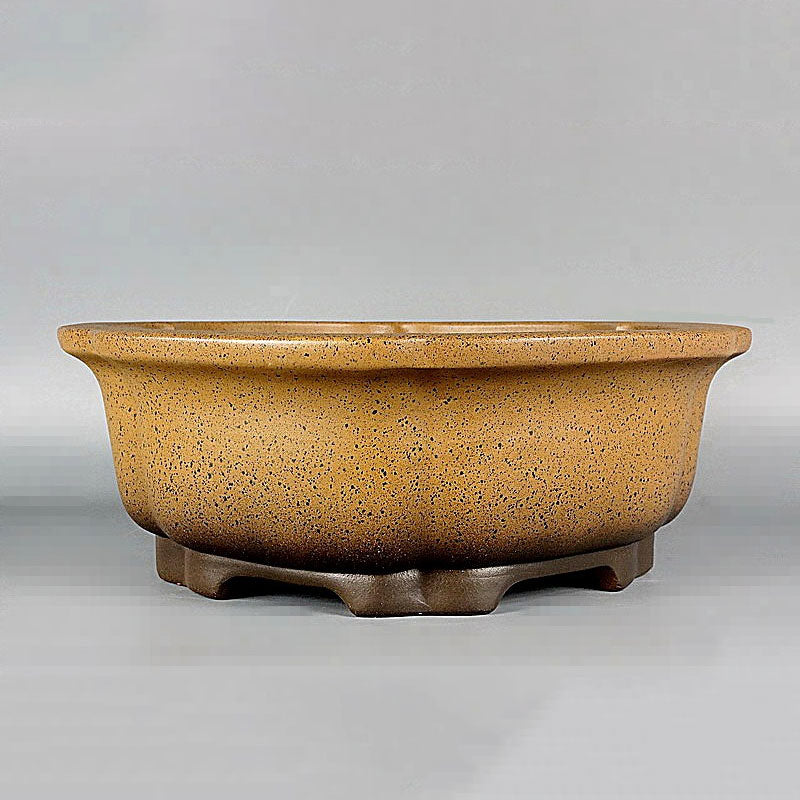 17.7 inch (45cm) Large Hexagonal Yellow-Brown Speckled Finish Deep Bonsai Pot Corner View