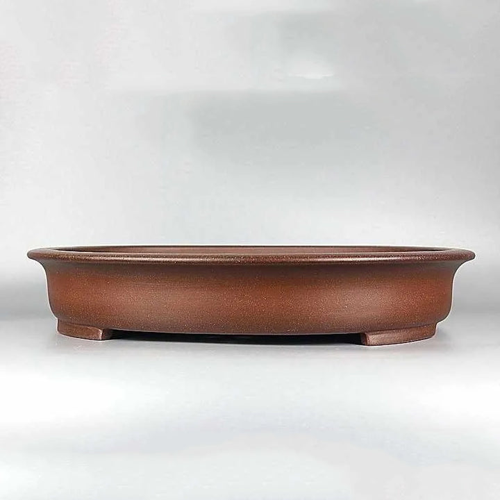 19.6 inch (50cm) Extra Large Shallow Oval Bonsai Pot w Flared Rim & Raised Feet