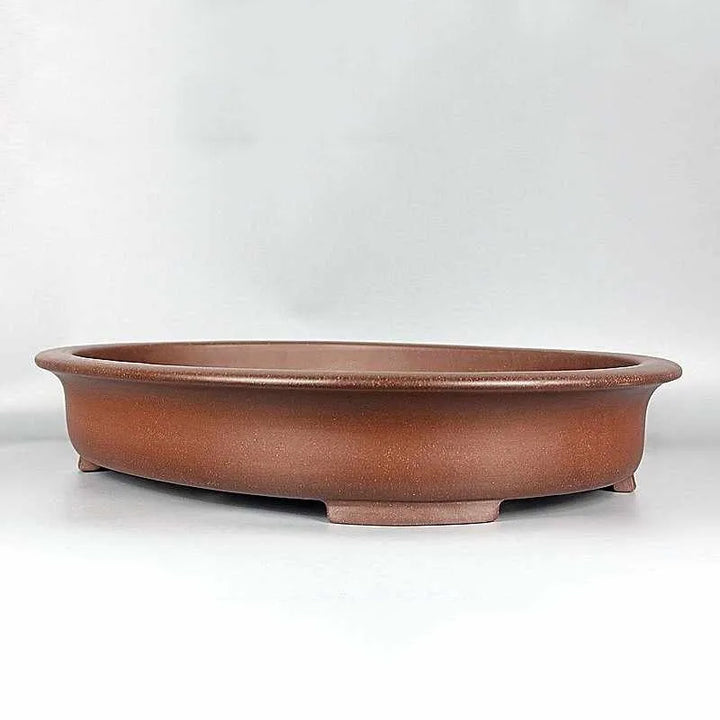 19.6 inch (50cm) Extra Large Shallow Oval Bonsai Pot w Flared Rim & Raised Feet Corner View