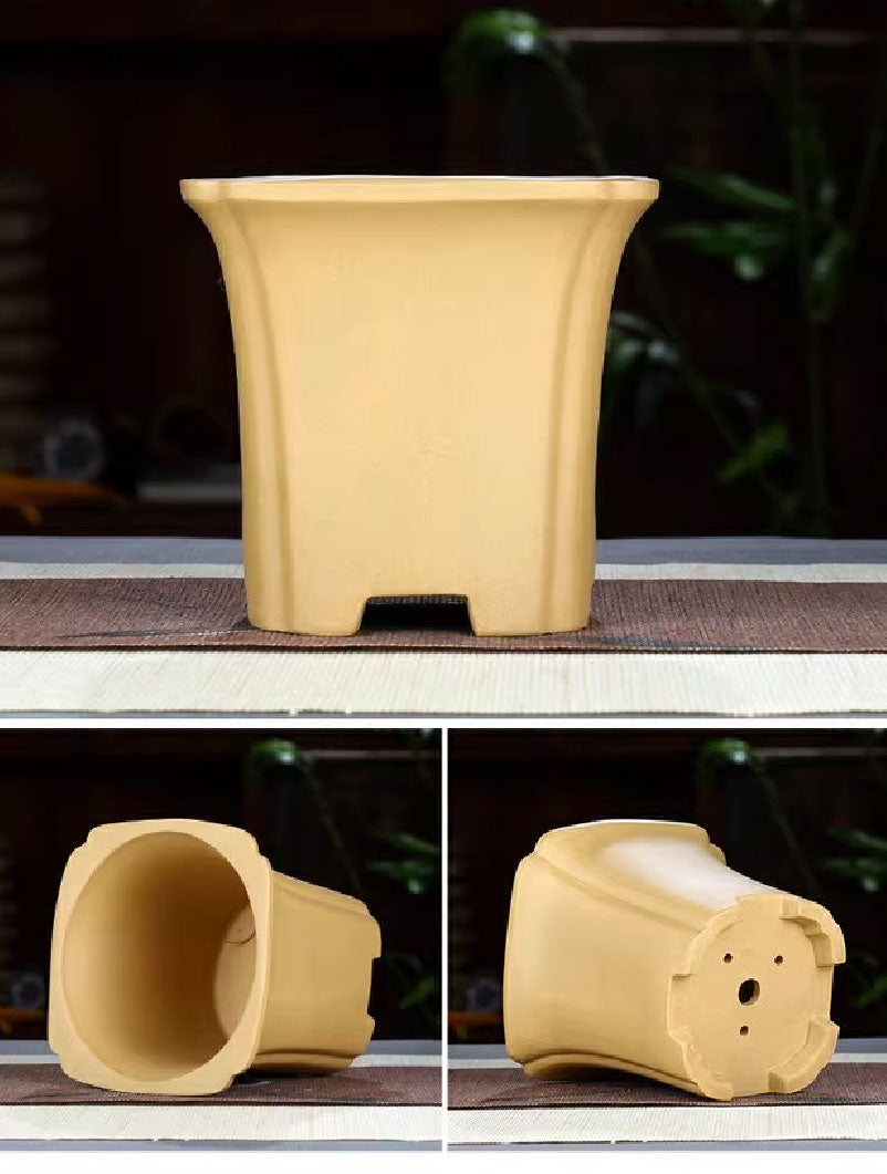 4.7" (12 cm) tiefe quadratische traditionelle Kaskaden-/Halbkaskaden-Bonsai-Töpfe