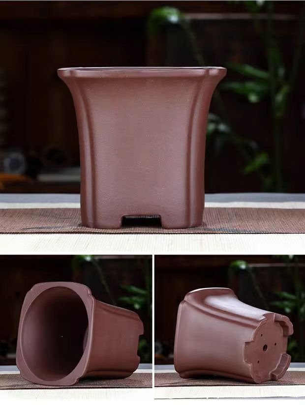 4.7" (12 cm) tiefe quadratische traditionelle Kaskaden-/Halbkaskaden-Bonsai-Töpfe