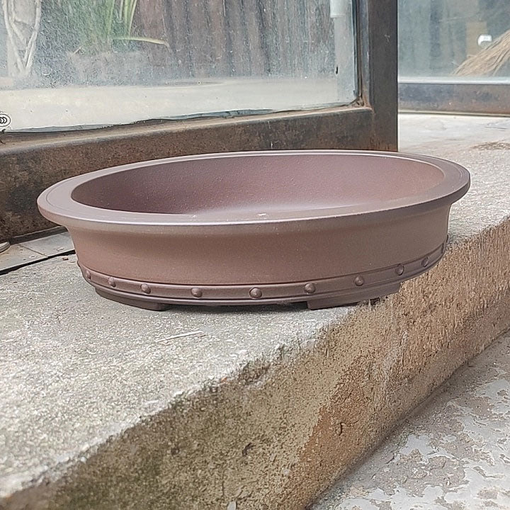 11.2" (28.5cm) Große Premium Oval Bonsai-Schale mit dekorativen Nieten