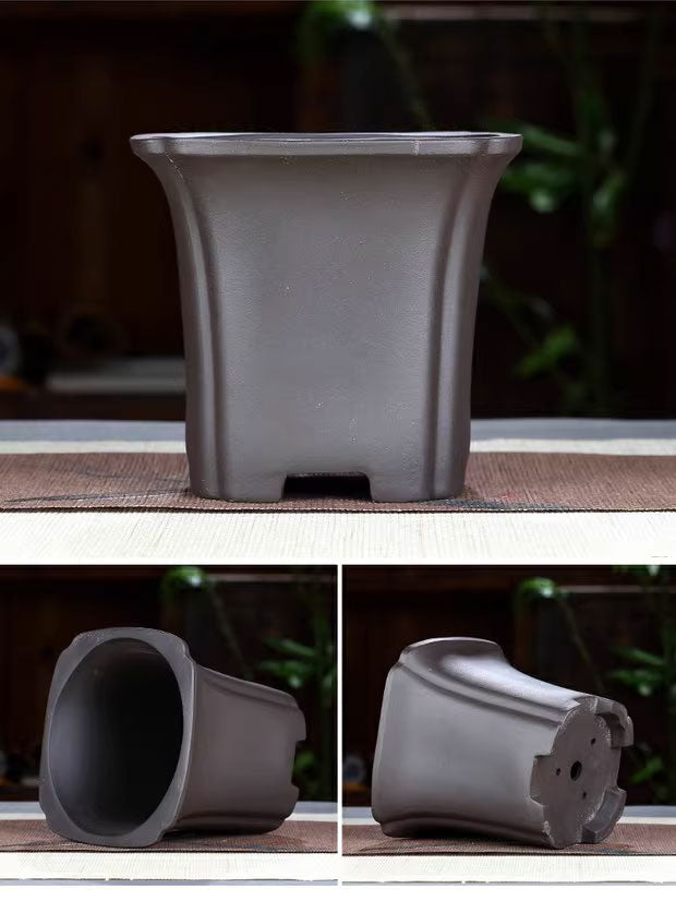 4.7" (12 cm) tiefe quadratische traditionelle Kaskaden-/Halbkaskaden-Bonsai-Töpfe