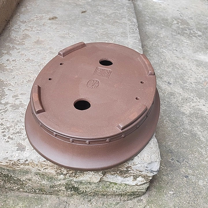 11.2" (28.5cm) Große Premium Oval Bonsai-Schale mit dekorativen Nieten