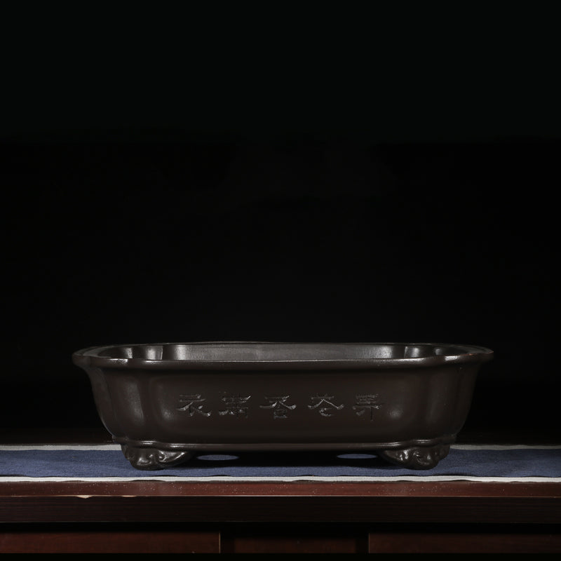 20.4 inch (52cm) Large Rectangle Black Bonsai Pot w Scalloped Corners & Raised Feet