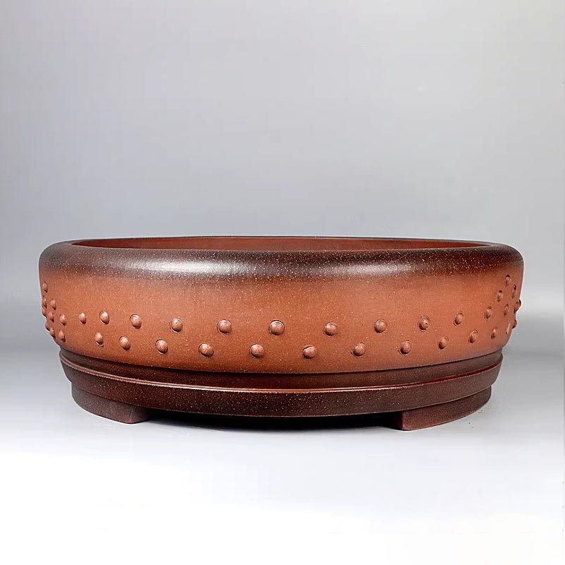 20.8 inch (53cm) Extra-Large Round Dual Tone Premium Drum Bonsai Pot Corner View