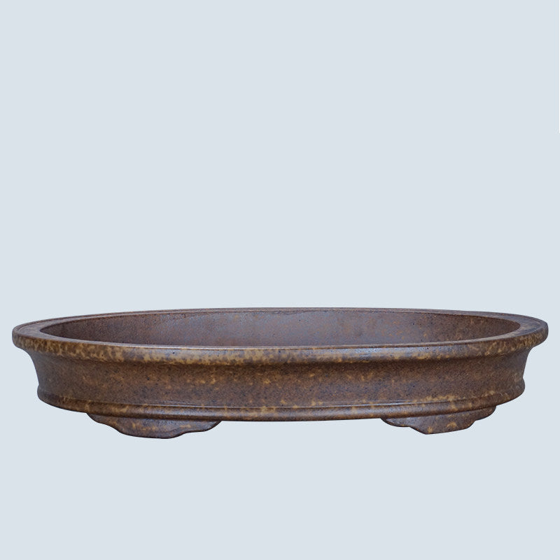 Landscape & Forest Bonsai Pots │ Create Eye-Catching Bonsai