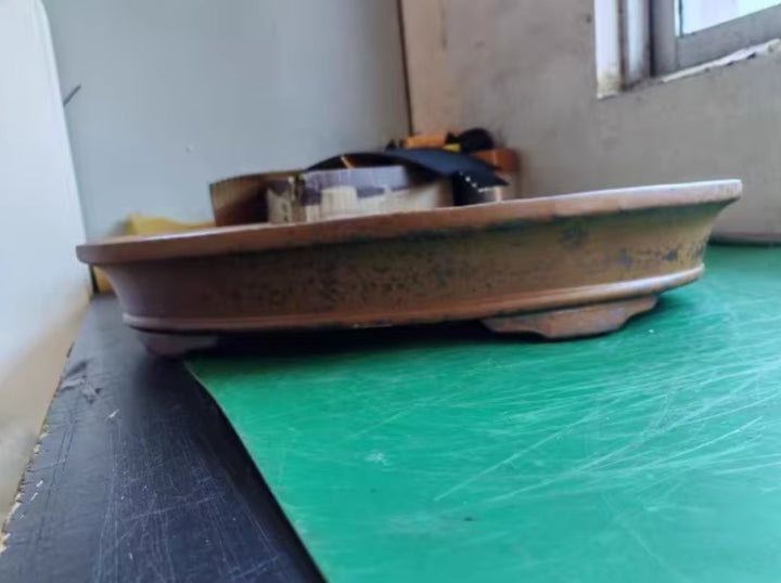 20.8 inch (53cm) Extra Large Oval Unglazed Wood-Fire Finish Shallow Forest Bonsai Pot