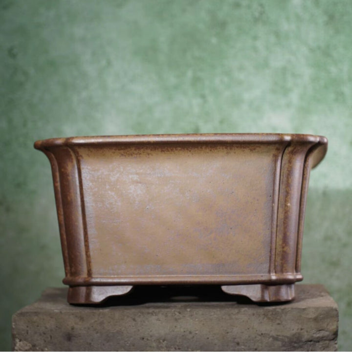21.2 inch (54cm) Extra Large Rectangular Scalloped Corner Unglazed Deep Bonsai Pot Side View