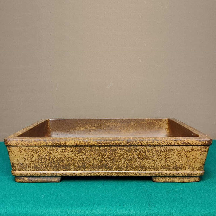 21.6 inch (55cm) Extra Large Rustic Speckled Finish Rectangular Bonsai Pot
