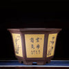 21.6 inch (55cm) Large 14.5 inch (37cm) Deep Hexagonal Large Semi Cascade Bonsai Pot Yellow Color