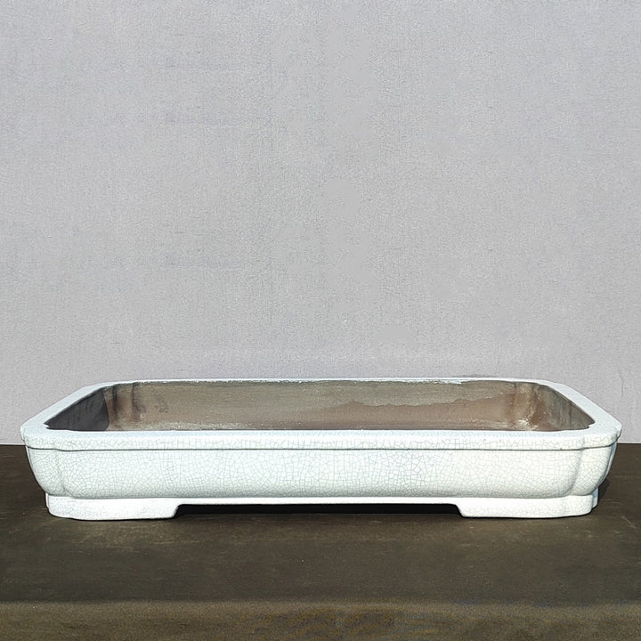 22 inch (56cm) Extra Large Rectangle White Cracked Glaze Shallow Forest Bonsai Pot