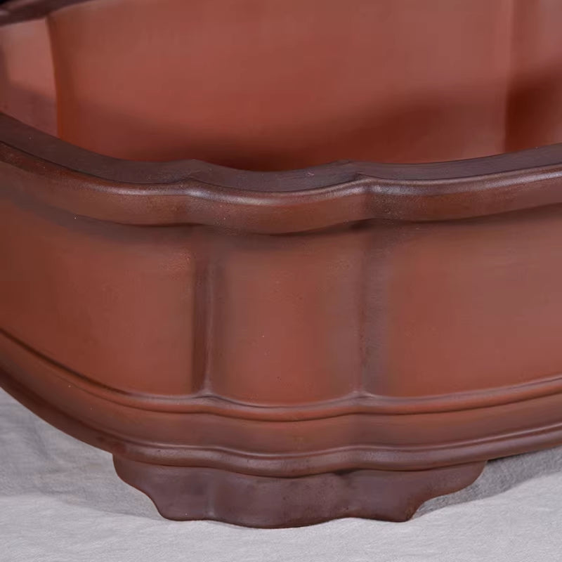 24.4 inch (62cm) Extra Large Rectangular Unglazed Bonsai Pot w Scalloped Corners Corner View Close Shot