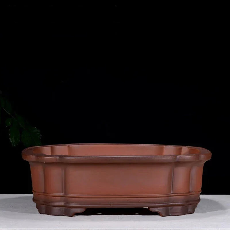 24.4 inch (62cm) Large Rectangular Bonsai Pot w Scalloped Corners & Double Rim Design