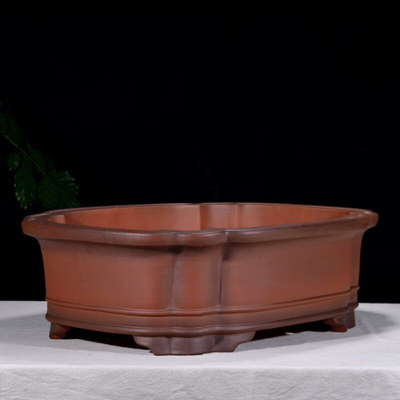 24.4 inch (62cm) Large Rectangular Bonsai Pot w Scalloped Corners & Double Rim Design Corner View