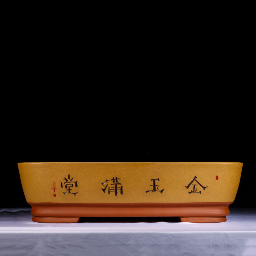 25.6" (65cm) Extra Large Handmade Deep Forest Bonsai Pot Yellow