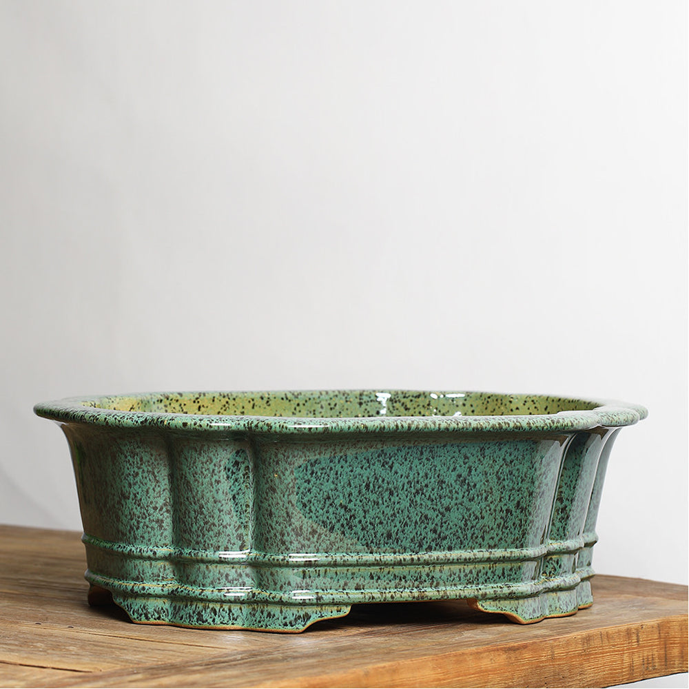 14.7" (37.5cm) Large Scalloped Oval High-Temp Green Glazed Bonsai Pot