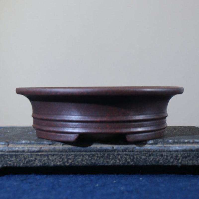 6.3 inch (16cm) Round Unglazed Shallow Bonsai Pots with Flared Rim and Raised Lines